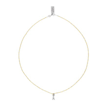 Load image into Gallery viewer, FYB Jewelry Clear CZ Identity Necklace - Gold