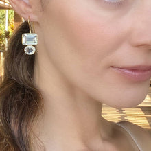 Load image into Gallery viewer, Amelia Rose Valencia Earrings - Clear Gold