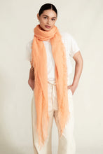 Load image into Gallery viewer, Chan Luu Cashmere and Silk Scarf - 10 Colors