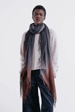 Load image into Gallery viewer, Chan Luu Cashmere and Silk Scarf -  10 Colors