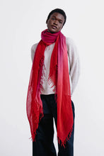 Load image into Gallery viewer, Chan Luu Cashmere and Silk Scarf -  10 Colors