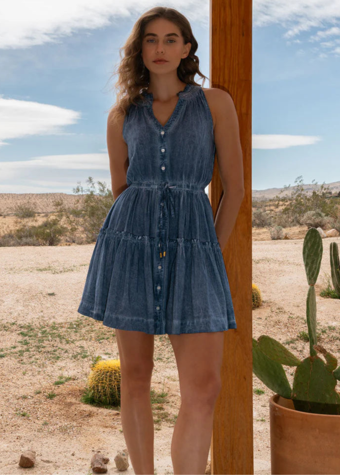 Change of Scenery Charlotte Dress - Stonewash