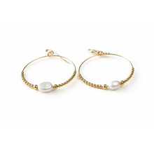 Load image into Gallery viewer, erin gray Classic Pearl Earring - Gold filled