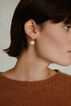Load image into Gallery viewer, Chan Luu Lumi Drop Earrings - Crystal
