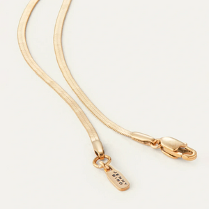 Jenny Bird Zeina Slim Chain - Gold