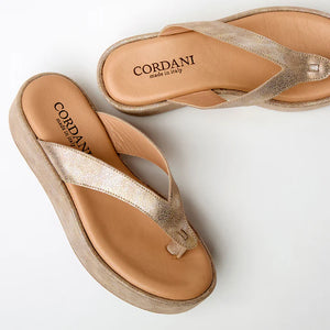 Cordani Kendra - 2 Colors