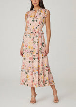 Load image into Gallery viewer, Shoshanna Midnight Maren Dress - Blush/Green Multi