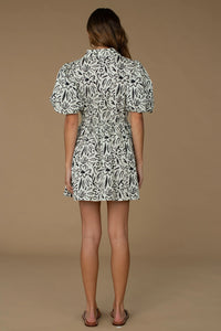 Elizabeth James the Label Daphne Dress - Scribble