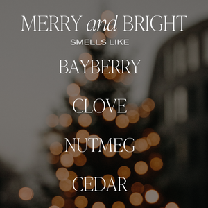 Sweet Water Decor Soy Candle - Merry and Bright