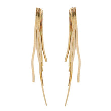 Load image into Gallery viewer, St Armands Designs of Sarasota Skinny Gold Cascading Tassel Earrings