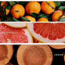 Load image into Gallery viewer, Sweet Water Decor All Over Hearts Soy Candle