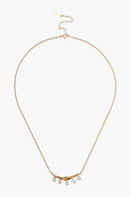 Load image into Gallery viewer, Chan Luu Crystal Crescent Necklace - Yellow Gold