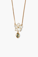 Load image into Gallery viewer, Chan Luu Mother of Pearl Necklace - Labradorite