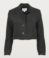 Load image into Gallery viewer, Velvet Finley Blazer - 2 Colors