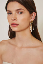 Load image into Gallery viewer, Chan Luu Crystal &amp; Gold Trinidad Earrings